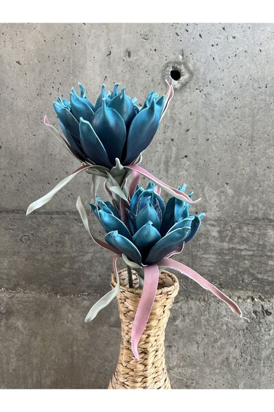 LAMEDORE Mavi Gorgon Çiçeği