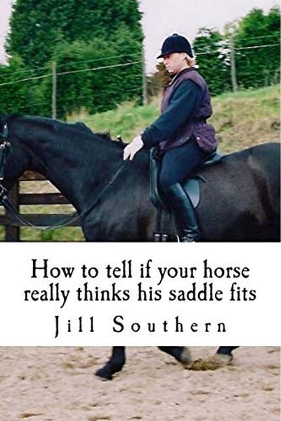 Ingram How To Tell If Your Horse Really Thinks His Saddle Fits And How His Behaviour Shows You If It Doesn