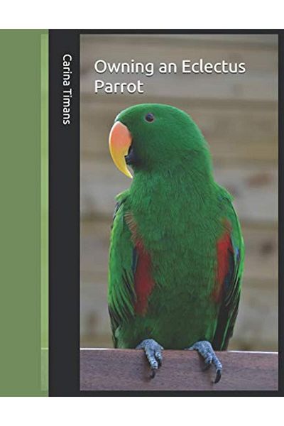 Ingram Owning An Eclectus Parrot