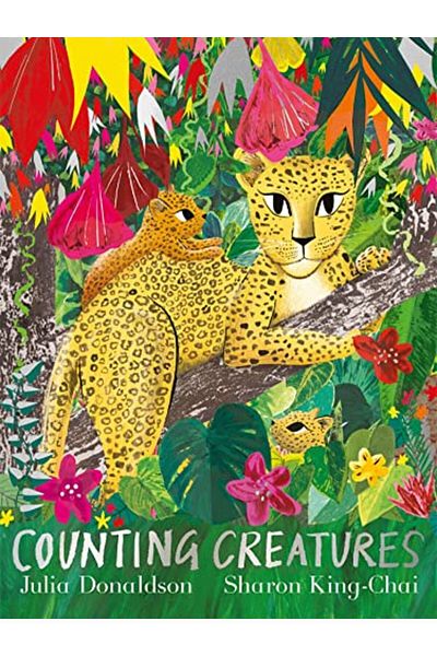 Macmillan Distribution Counting Creatures