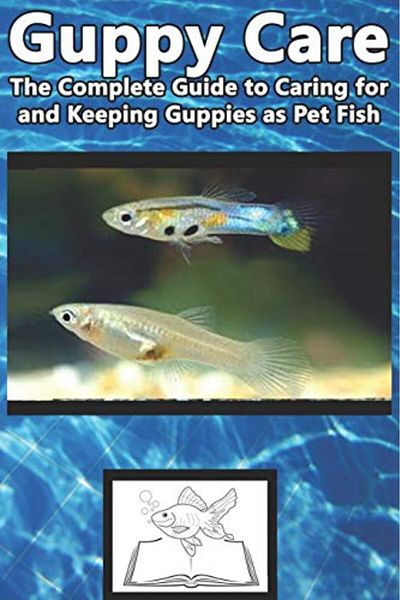 Ingram Guppy Care The Complete Guide To Caring For And Keeping Guppies As Pet Fish