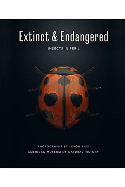 Macmillan Distribution Extinct & Endangered Insects In Peril