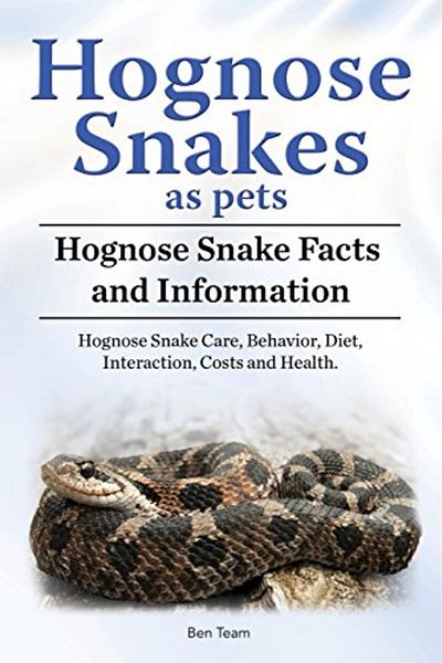 Ingram Hognose Snakes As Pets Hognose Snake Facts And Information Hognose Snake Care Behavior Diet Int