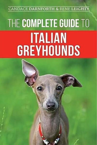 Ingram The Complete Guide To Italian Greyhounds Training Properly Exercising Feeding Socializing Groom