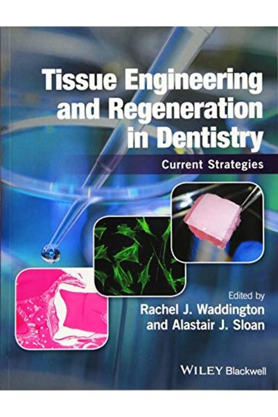 John Wiley Tissue Engineering And Regeneration In Dentistry Current Strategies