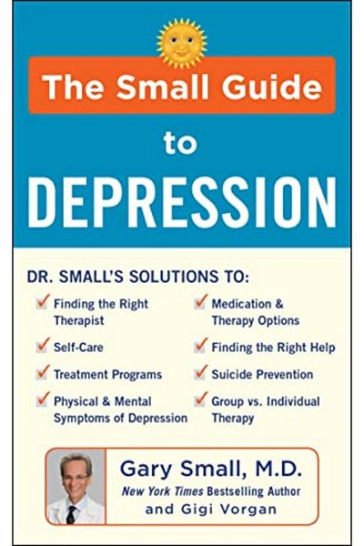 Ingram The Small Guide To Depression