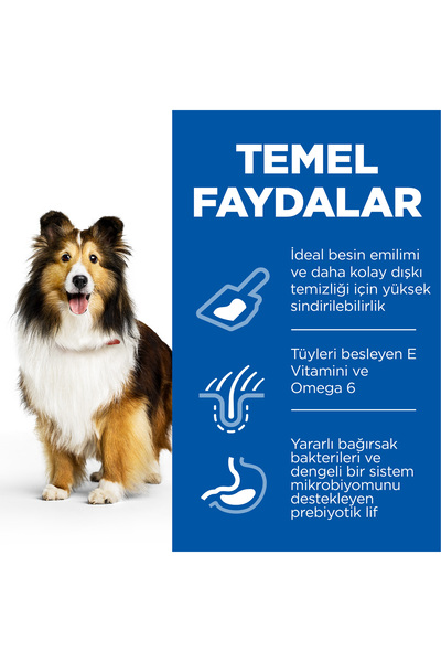 Hill's SCIENCE PLAN Mide ve Deri Hassasiyeti Tavuklu Orta ve Büyük Irk Yetişkin Köpek Maması 2.5 Kg