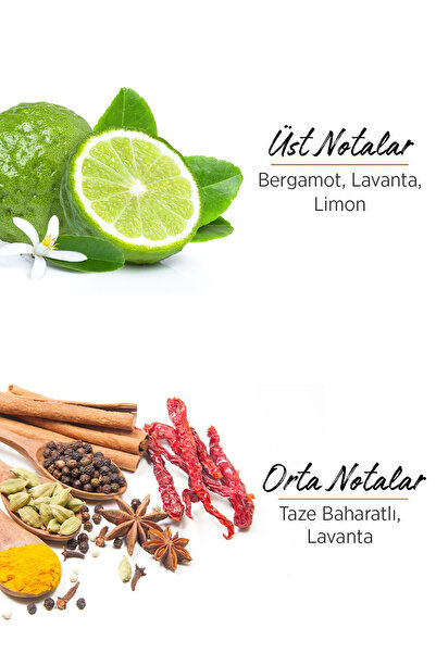 Privacy Men Limited Edition Edt Erkek Parfüm 50 ml Online Özel