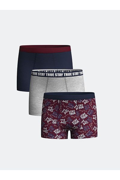 LC Waikiki Lcw Kids Vibrant Plum Printed Printed Boys' Boxers Set of 3