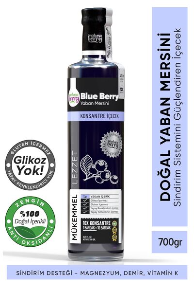 NaturaBerry Yaban Mersini Konsantresi 700gr
