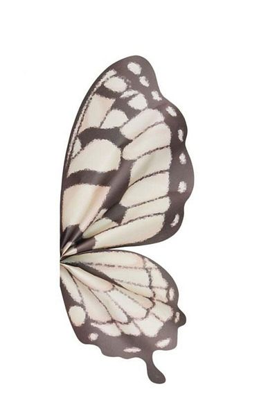ELA 2024 Trend - Pink Korean Butterfly Flower Packaging