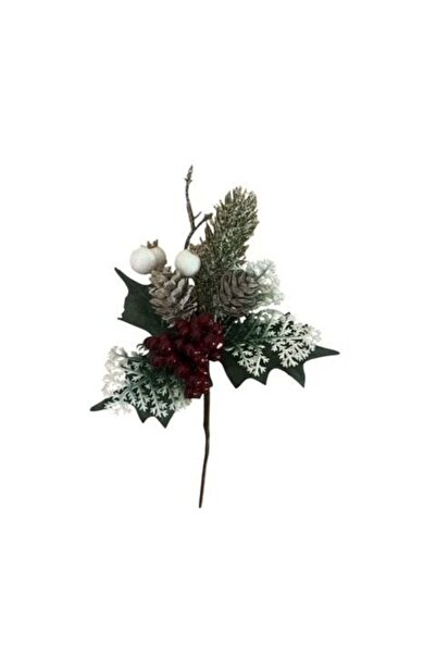 PAKETPARTİ Yılbaşı Çiçeği Kokina