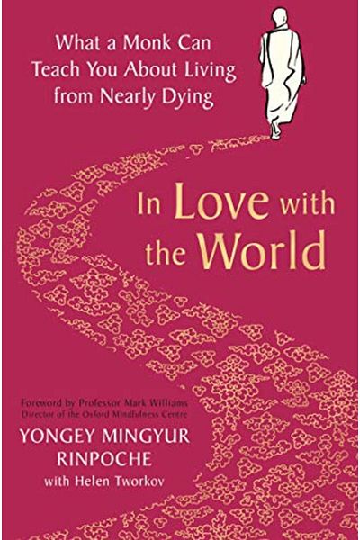 Macmillan Distribution In Love With The World What A Monk Can Teach You About Living From Nearly Dying