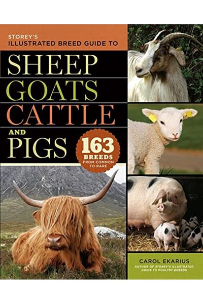 Ingram Storeys Illustrated Breed Guide To Sheep Goats Cattle And Pigs