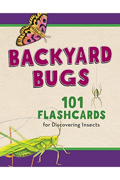 Ingram Backyard Bugs 101 Flashcards For Discovering Insects