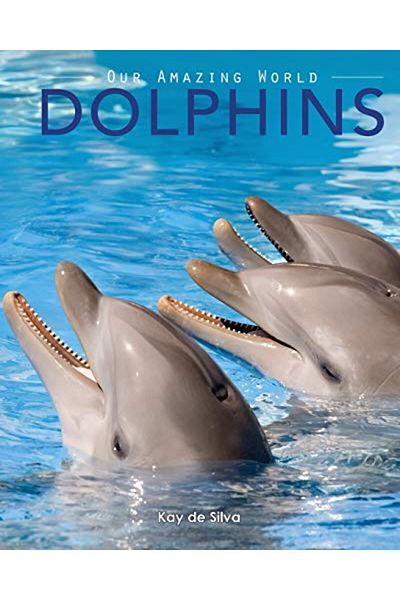 Ingram Dolphins Amazing Pictures & Fun Facts On Animals In Nature