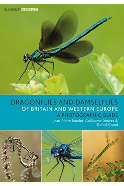 Macmillan Distribution Dragonflies And Damselflies Of Britain And Western Europe A Photographic Guide