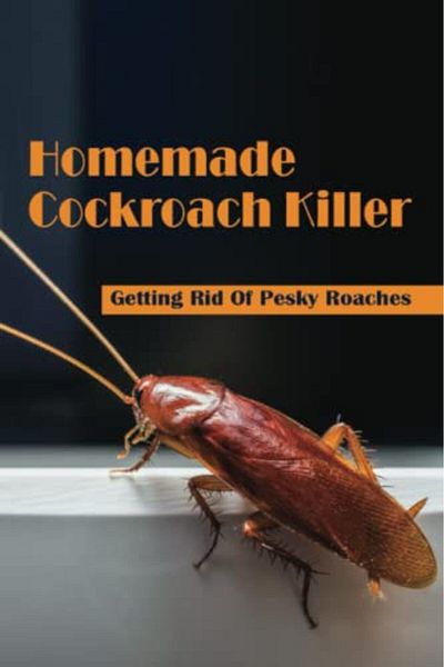 Ingram Homemade Cockroach Killer Getting Rid Of Pesky Roaches Cockroaches In Home