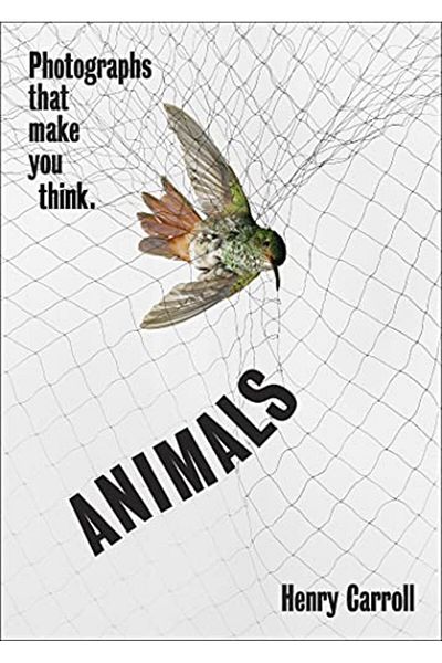 Macmillan Distribution Animals Photographs That Make You Think