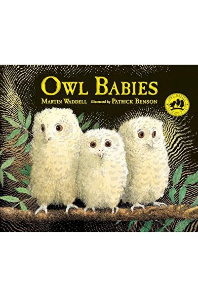 Penguin Random House Owl Babies