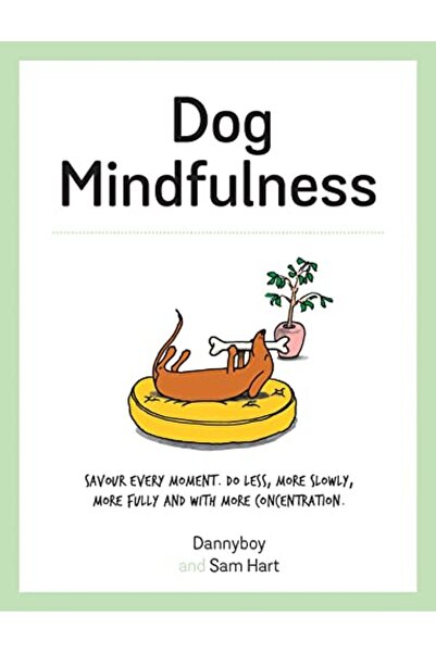 Hachette اليقظة الذهنية للكلاب