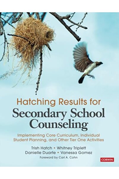 SAGE Publishing نتائج التفقيس للإرشاد في المدارس الثانوية من خلال تنفيذ المناهج الأساسية للطلاب الأفراد