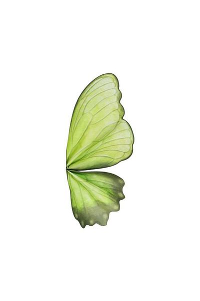 ELA 2024 Trend - Korean Butterfly Floral Wrapping Paper, for Wedding Birthday Party Decor
