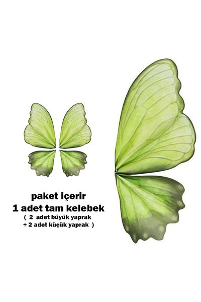 ELA 2024 Trend - Korean Butterfly Floral Wrapping Paper, for Wedding Birthday Party Decor