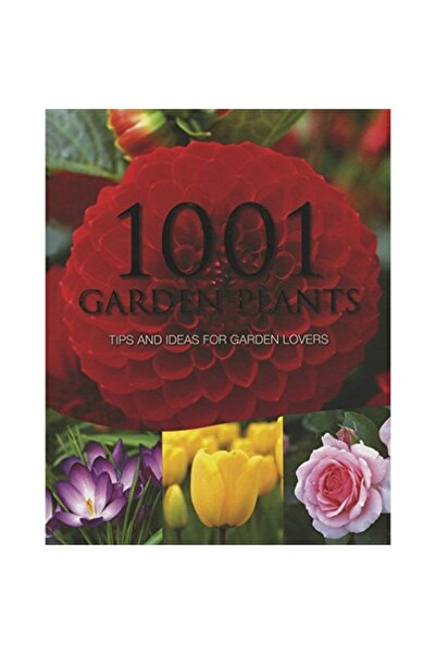 Parragon 1001 من أكثر نباتات الحدائق شعبية
