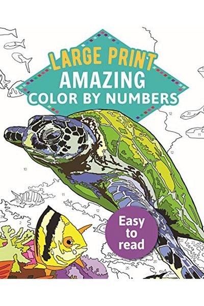 Ingram Amazing Color By Numbers Large Print