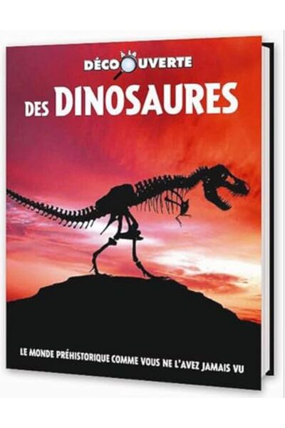 Dilisco حذاء Streetball II للرجال GX9688