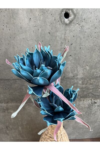 LAMEDORE Mavi Gorgon Çiçeği