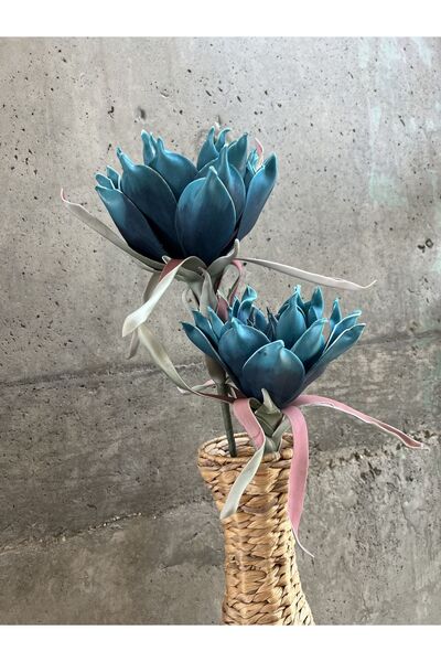 LAMEDORE Mavi Gorgon Çiçeği