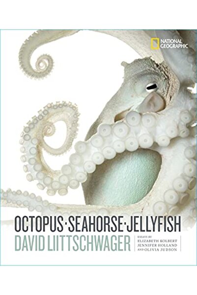 Penguin Random House الأخطبوط فرس البحر قنديل البحر