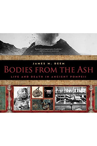 Harper Collins Bodies From The Ash Life And Death In Ancient Pompeii