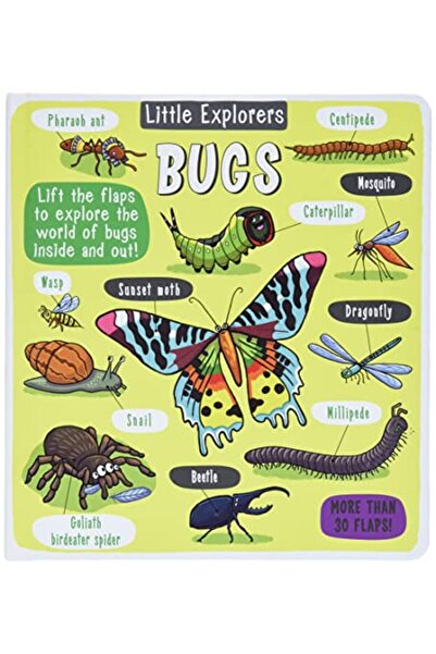 Simon Schuster حشرات المستكشفين الصغار