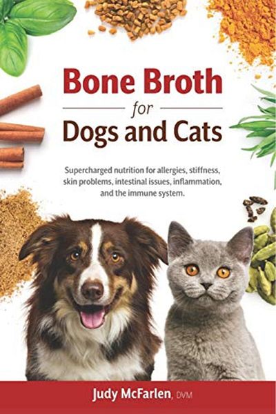 Ingram Bone Broth For Dogs And Cats Supercharged Nutrition For Allergies Stiffness Skin Problems Intest