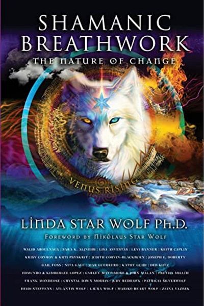 Ingram Shamanic Breathwork The Nature Of Change