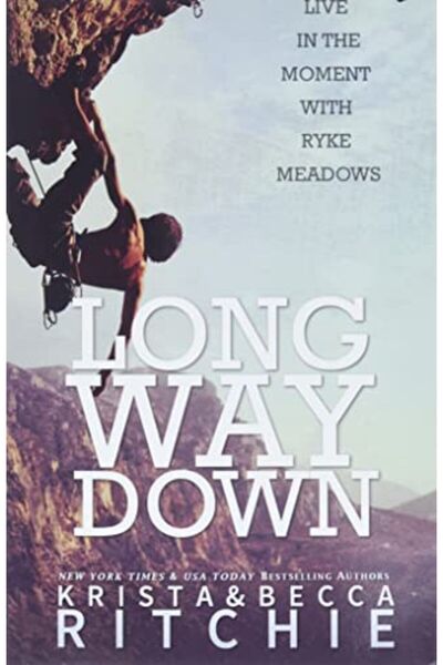 Ingram Internatıonal Inc طريق طويل للأسفل