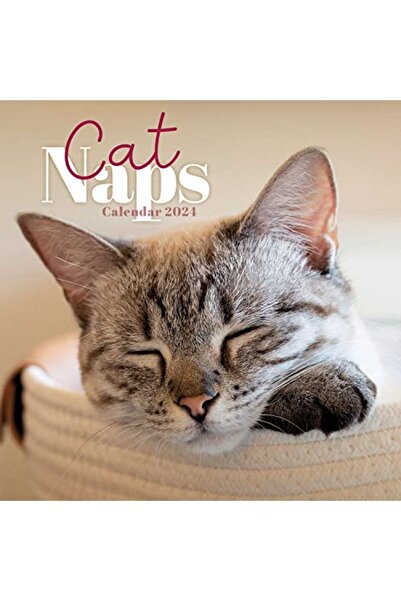 Carousel قيلولة القطة م كاروس