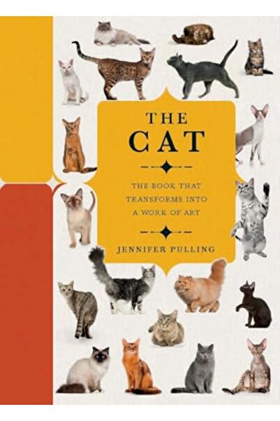 Harper Collins Paperscapes القط