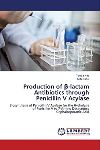 Ingram Production Of Lactam Antibiotics Through Penicillin V Acylase