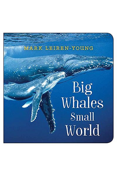 Ingram Big Whales Small World