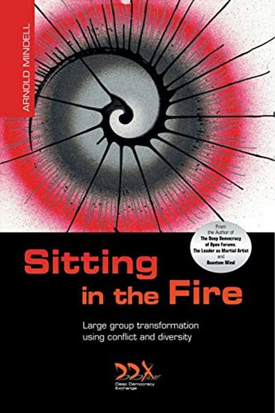 Ingram Sitting In The Fire Large Group Transformation Using Conflict And Diversity