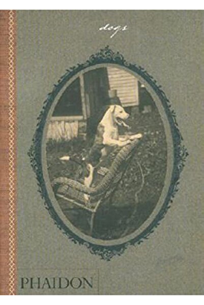 Macmillan Distribution الكلاب