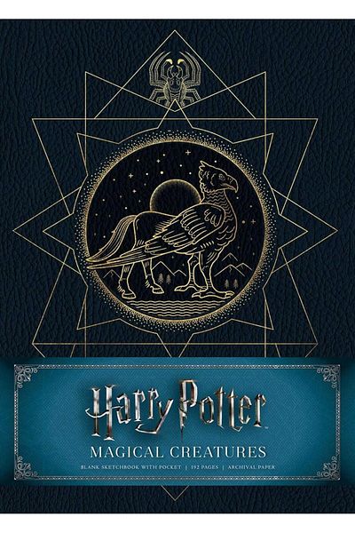 Insight Harry Potter: Registrul de schițe în formă de carton