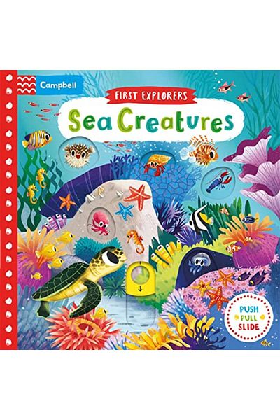 Macmillan Distribution Sea Creatures First Explorers