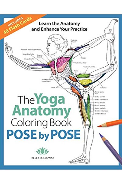 John Wiley وضعية تلو الأخرى تعلم التشريح وعزز ممارستك