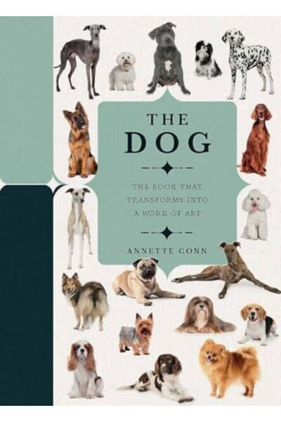 Harper Collins Paperscapes الكلب