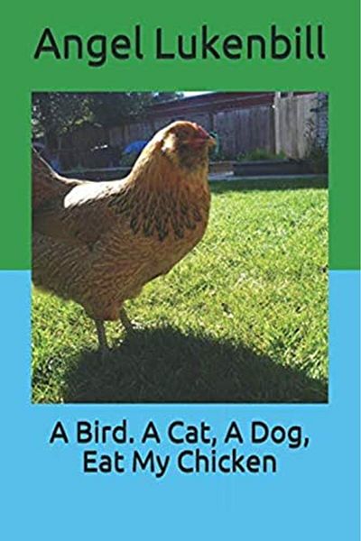 Ingram A Bird A Cat A Dog Eat My Chicken